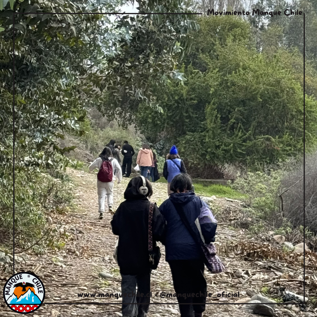Campamento Latinoamericano 2027 Movimiento Manque Chile