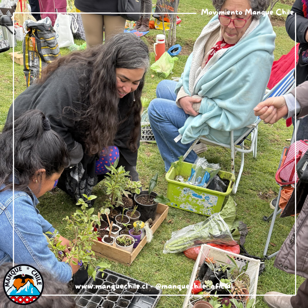 🎨🏕️ ¡ESTUDIANTES UNIVERSITARIOS, PROFESIONALES Y VOLUNTARIOS/AS: LOS INVITAMOS A SER PARTE DEL CAMPAMENTO INTERNACIONAL DE MANQUE CHILE 2027! 🌎✨